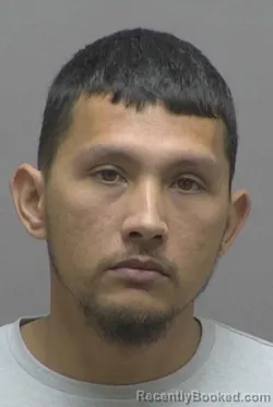 Mugshot of MICHAEL LEE RAINES