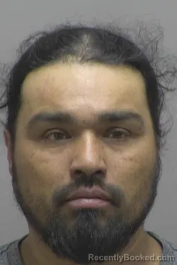 Mugshot of RICARDO RICO LEON