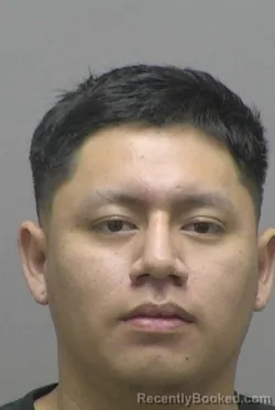 Mugshot of DIEGO RONALDO FRANCISCO