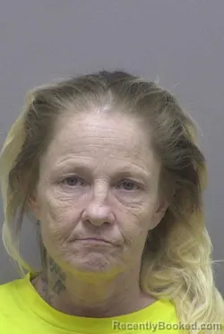 Mugshot of ANNETTE LORRAINE HERRON booked in Lincoln County, North Carolina on June 22, 2026