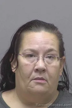 Mugshot of TIFFANY ANN DAVIS booked in Lincoln County, North Carolina on August 5, 2026