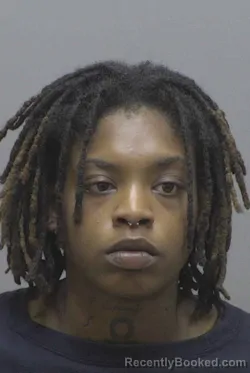 Mugshot of Mylani Renna Wallace Grier booked in Lincoln County, North Carolina on September 13, 2026