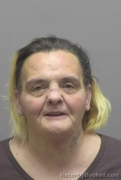Mugshot of Michelle Leonard Burrow booked in Lincoln County, North Carolina on October 14, 2026