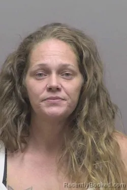 Mugshot of Brandy Michelle Dugger booked in Lincoln County, North Carolina on October 17, 2026