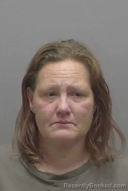 Mugshot of SHARON MARIE WYLIE booked in Lincoln County, North Carolina on July 4, 2026