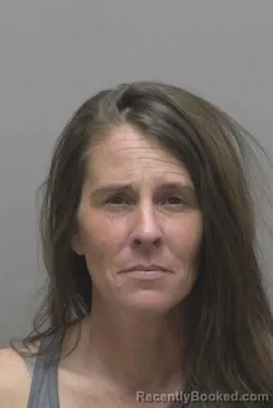 Booking photo from Lincoln County, North Carolina