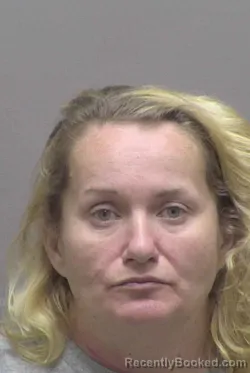 Booking photo from Lincoln County, North Carolina