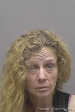 Mugshot of RITA RENEE CLEMMER booked in Lincoln County, North Carolina on July 2, 2026