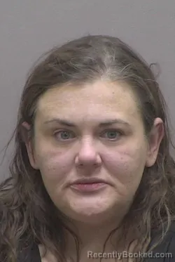 Mugshot of ASHLEY MARIE RAY