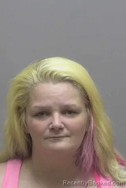 Mugshot of SERIA LYNN NORMAN booked in Lincoln County, North Carolina on June 15, 2026