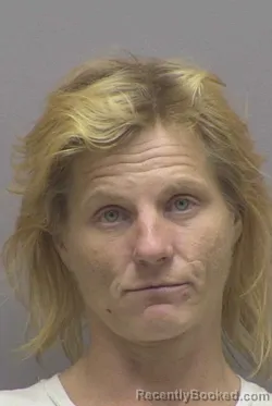 Mugshot of MONICA ROSE HARDIN booked in Lincoln County, North Carolina on June 4, 2026