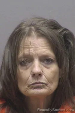 Mugshot of LISA DAWN OSE booked in Lincoln County, North Carolina on July 29, 2026
