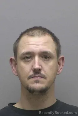 Mugshot of JAMIE ADELL PERKINS booked in Lincoln County, North Carolina on March 20, 2026