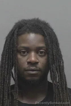 Mugshot of JAMEAKA ROSHAWN WILLIAMS booked in Lincoln County, North Carolina on July 7, 2026