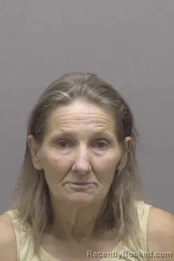 Mugshot of DONNA BALDWIN FREDELL booked in Lincoln County, North Carolina on July 15, 2026