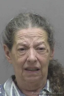 Mugshot of DONALISA JUAN GOODSON booked in Lincoln County, North Carolina on July 3, 2026
