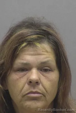 Mugshot of MISTY DAWN BEAL booked in Lincoln County, North Carolina on August 4, 2026