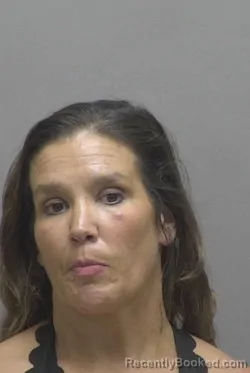 Mugshot of CRYSTAL RENEE LEATHERMAN booked in Lincoln County, North Carolina on June 23, 2026