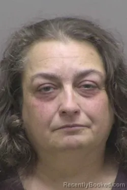 Mugshot of TERESA ANN GERLITS