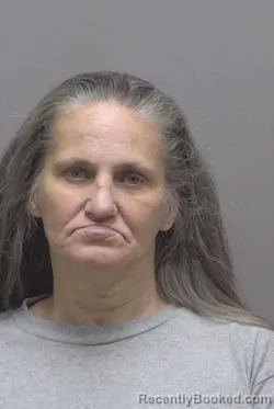 Mugshot of BRANDI KAY ROBINSON booked in Lincoln County, North Carolina on May 6, 2026