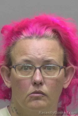 Mugshot of Patricia Ann Bolen booked in Lincoln County, North Carolina on October 20, 2026