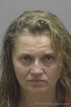 Mugshot of DIANA NICOLE STARNES booked in Lincoln County, North Carolina on April 1, 2026