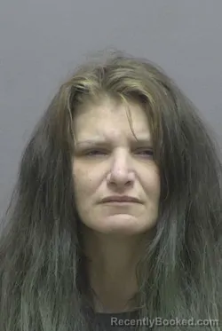 Mugshot of ROBYN AMBER ROHRL booked in Lincoln County, North Carolina on May 18, 2026