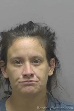 Mugshot of Brittany Chantais Orgeron booked in Lincoln County, North Carolina on August 28, 2026