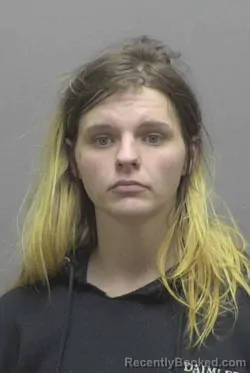 Mugshot of AMERICUS ANN CHANEY booked in Lincoln County, North Carolina on April 29, 2026