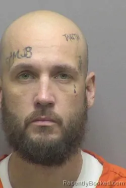 Mugshot of DILLON CHASE BUCHANAN