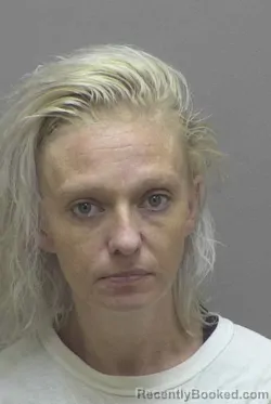Mugshot of LESLIE CHRISTINE COLON booked in Lincoln County, North Carolina on July 14, 2026