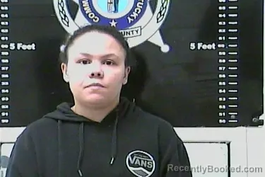 Mugshot of BRITTANY L JOHNSON booked in Clark County, Kentucky on April 1, 2026