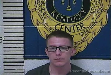 Mugshot of BRIAN BOLES