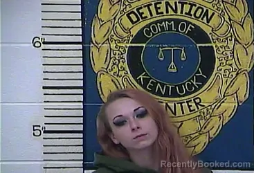 Mugshot of CHASITY JEAN EVERSOLE