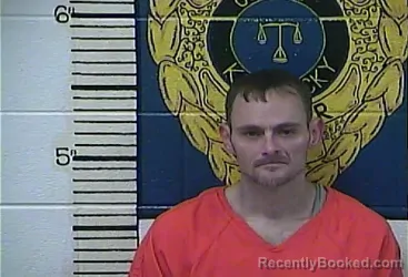 Mugshot of DAVID BRANDON DAVIDSON