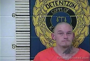 Mugshot of JONATHAN HENSON