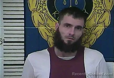 Mugshot of JAMES JACKSON