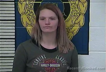 Booking photo from Clay County, Kentucky