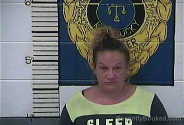 Mugshot of Tiffany D Gabbard booked in Clay County, Kentucky on August 20, 2026