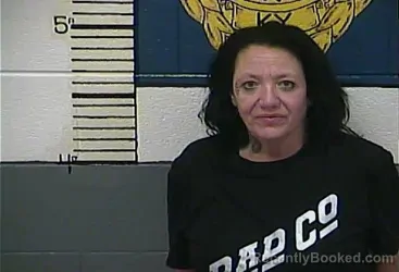 Mugshot of TINA ANN SHEETS