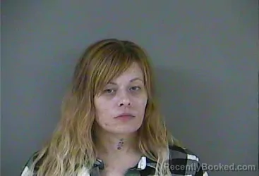Mugshot of Amanda Raye Cansler
