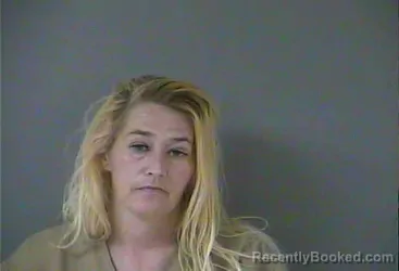 Mugshot of Karen M Lewis