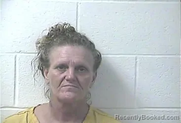 Mugshot of AMANDA SCOTT ALVEY booked in Daviess County, Kentucky on July 30, 2026