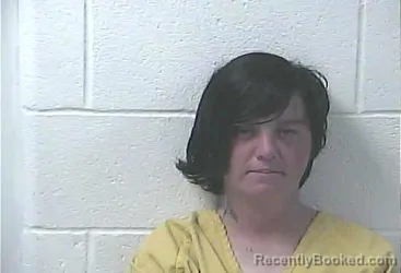Mugshot of Alaina Marie Collins booked in Daviess County, Kentucky on October 18, 2026