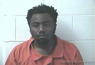 Mugshot of ALIMASI WILELO booked in Daviess County, Kentucky on April 24, 2026