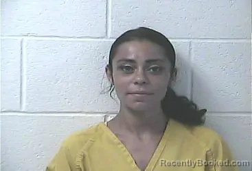 Mugshot of Alexis Cheyenne Wilson booked in Daviess County, Kentucky on August 16, 2026
