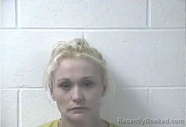 Mugshot of BREANA ELAINE HOBDY HERRING