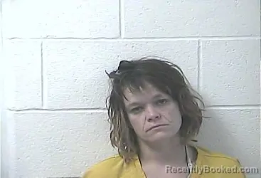 Mugshot of BRIDGETT NICHOLE HAYWOOD booked in Daviess County, Kentucky on April 25, 2026