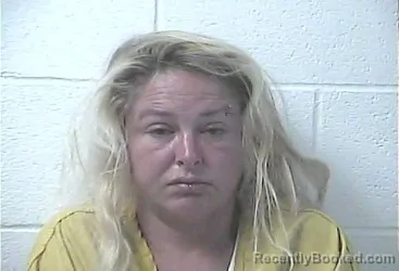 Mugshot of BRANDI LADAWN VANCE booked in Daviess County, Kentucky on May 14, 2026