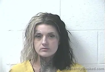 Mugshot of CHEYANNE MURRAY HALBERT booked in Daviess County, Kentucky on March 27, 2026